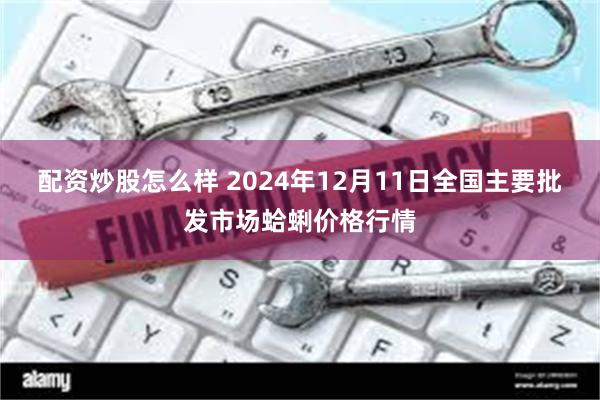 配资炒股怎么样 2024年12月11日全国主要批发市场蛤蜊价格行情