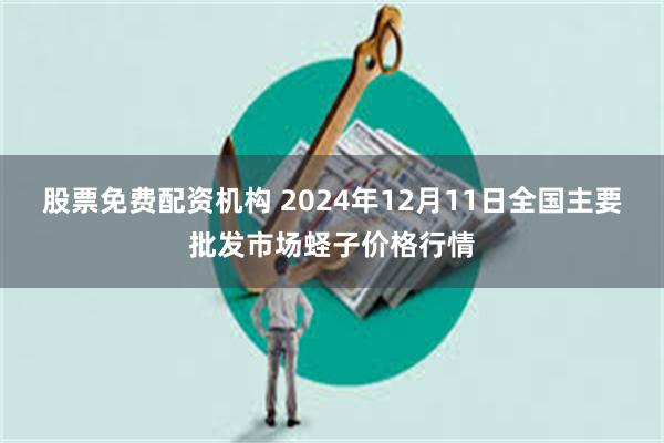 股票免费配资机构 2024年12月11日全国主要批发市场蛏子价格行情