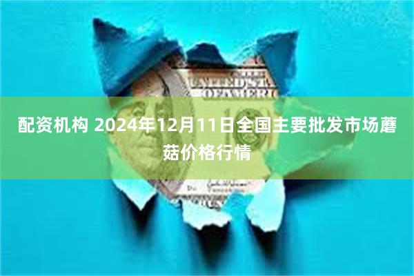 配资机构 2024年12月11日全国主要批发市场蘑菇价格行情