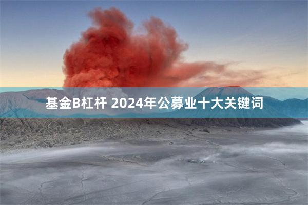 基金B杠杆 2024年公募业十大关键词