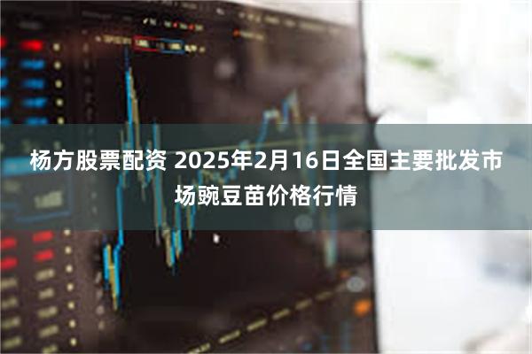 杨方股票配资 2025年2月16日全国主要批发市场豌豆苗价格行情