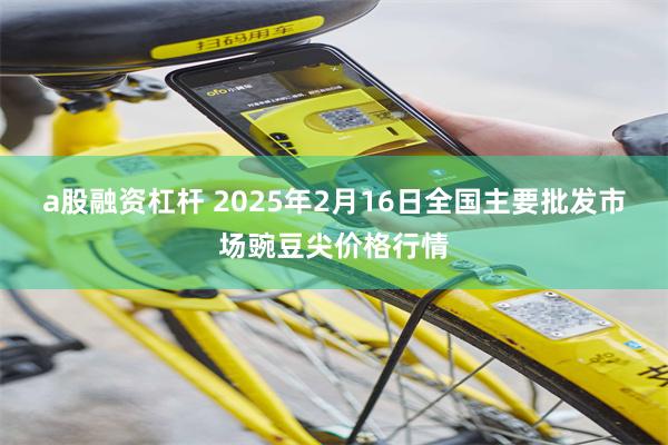 a股融资杠杆 2025年2月16日全国主要批发市场豌豆尖价格行情