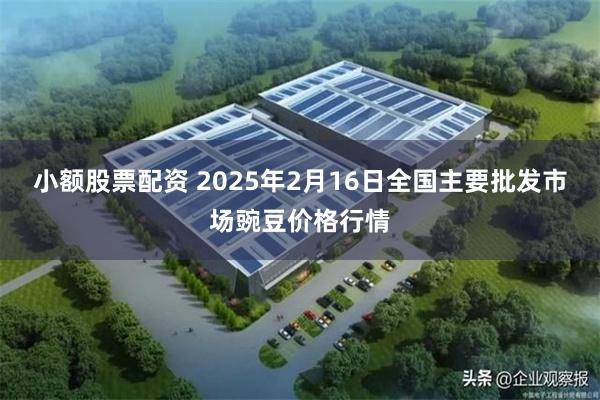 小额股票配资 2025年2月16日全国主要批发市场豌豆价格行情