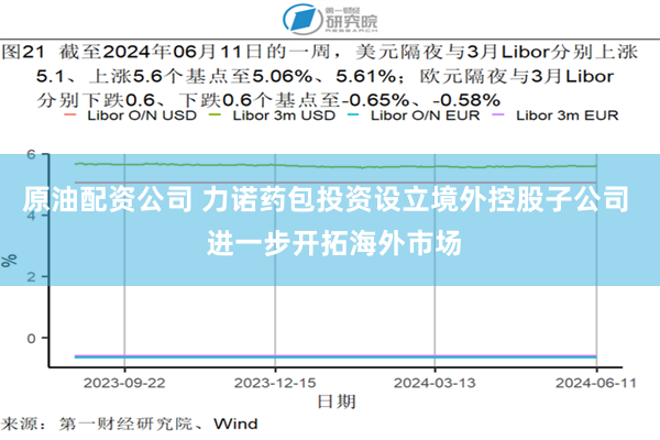 原油配资公司 力诺药包投资设立境外控股子公司  进一步开拓海外市场