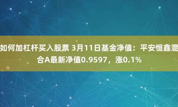 如何加杠杆买入股票 3月11日基金净值：平安恒鑫混合A最新净值0.9597，涨0.1%